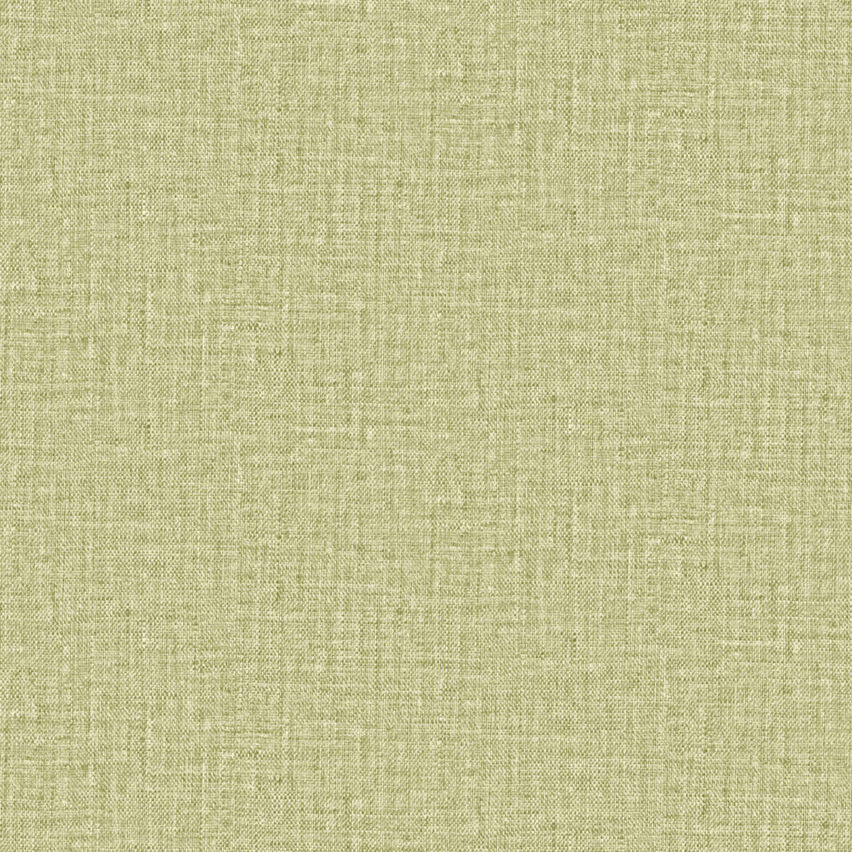 Z77501 - Image 1